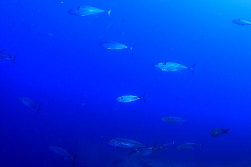 d0114375_074548.jpg