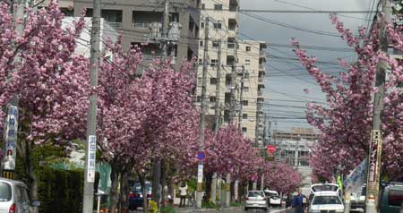 f0083977_642519.jpg