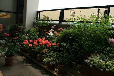 a0035678_18354036.jpg
