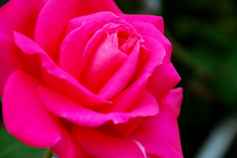 c0187781_832190.jpg