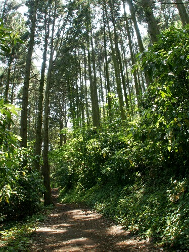 e0156083_70164.jpg