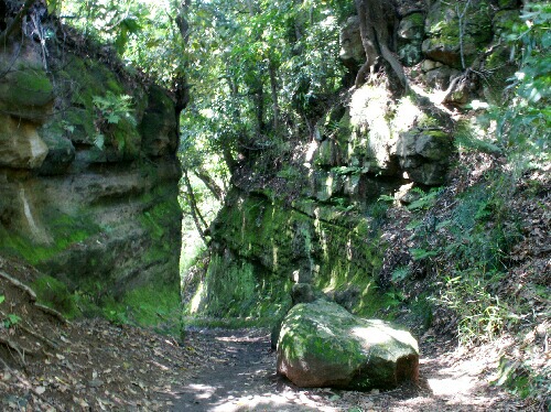 e0156083_73092.jpg
