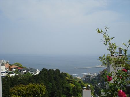 2009年5月12日 もう暑いぐらい。。。_b0098584_15353669.jpg