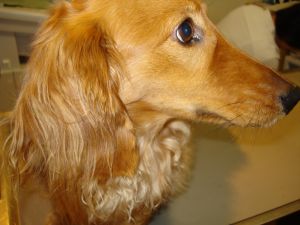 2009年5月12日 もう暑いぐらい。。。_b0098584_15413655.jpg
