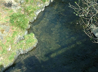 b0123486_8545631.jpg