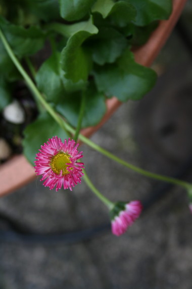 b0143686_22752100.jpg