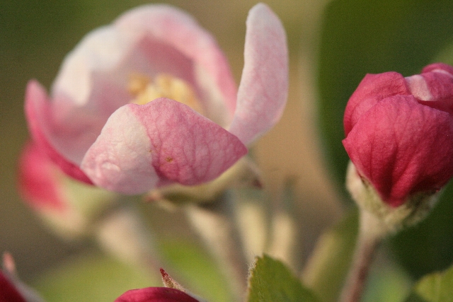 d0133693_17271640.jpg