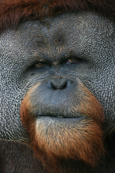 野村監督_b0016600_10382153.jpg