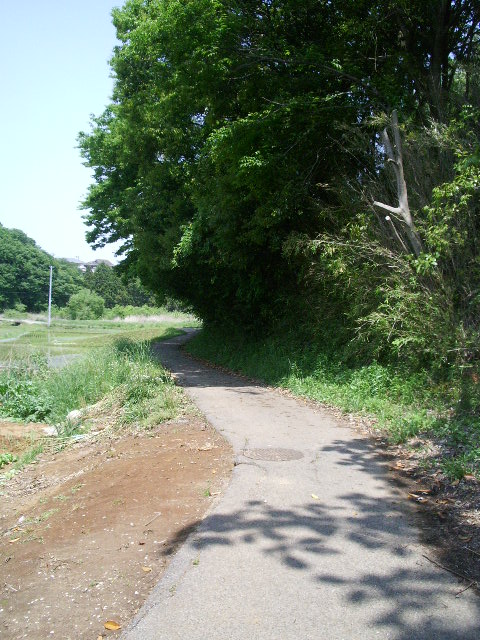 e0025300_1750496.jpg