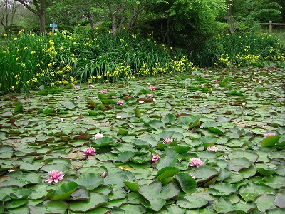 c0125501_646294.jpg