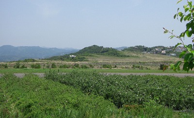 c0125501_71976.jpg