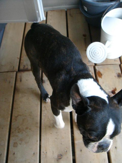 b0027203_0101389.jpg