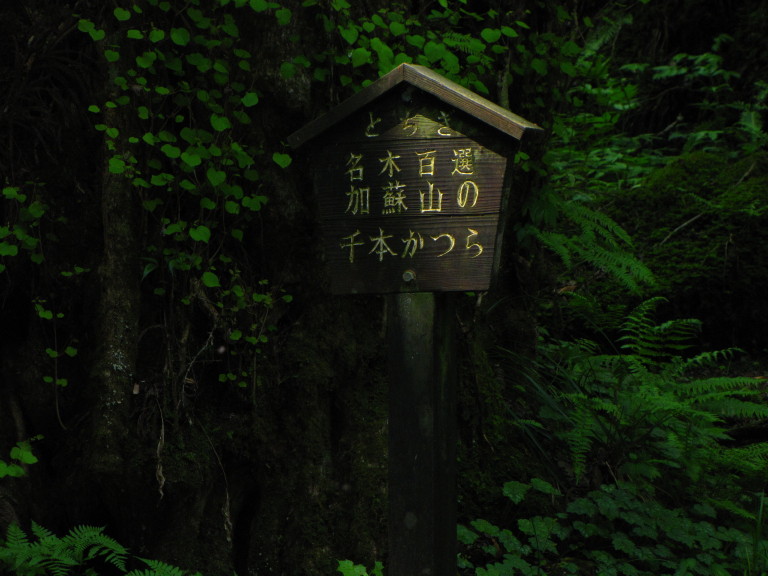b0116703_19385841.jpg