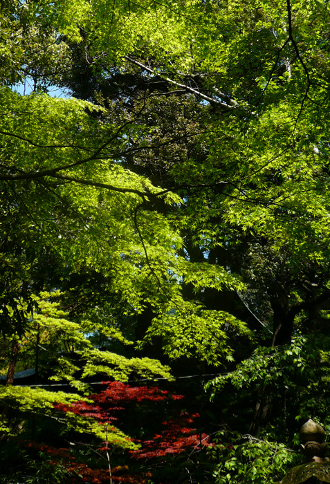 b0158403_8454032.jpg