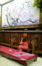 f0143504_0481983.jpg