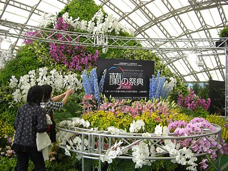 a0041508_16355119.jpg
