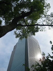 e0012808_0125260.jpg