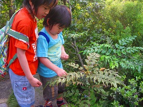e0012808_019318.jpg