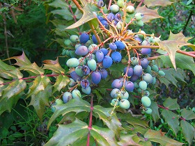 e0012808_0201111.jpg