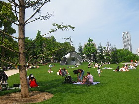 e0012808_084516.jpg