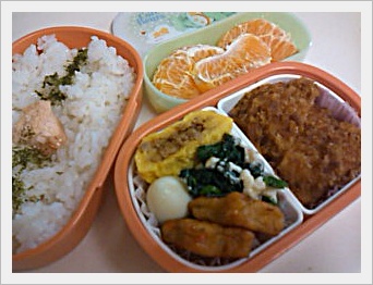 5月12日火曜日のお弁当_e0171608_9403683.jpg