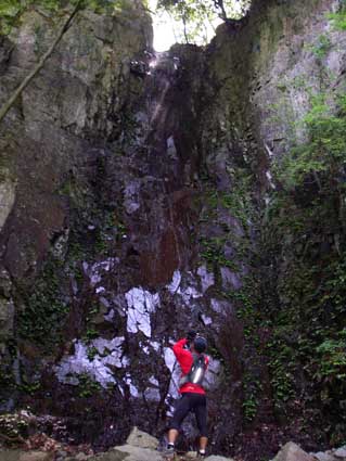 a0062810_1052352.jpg