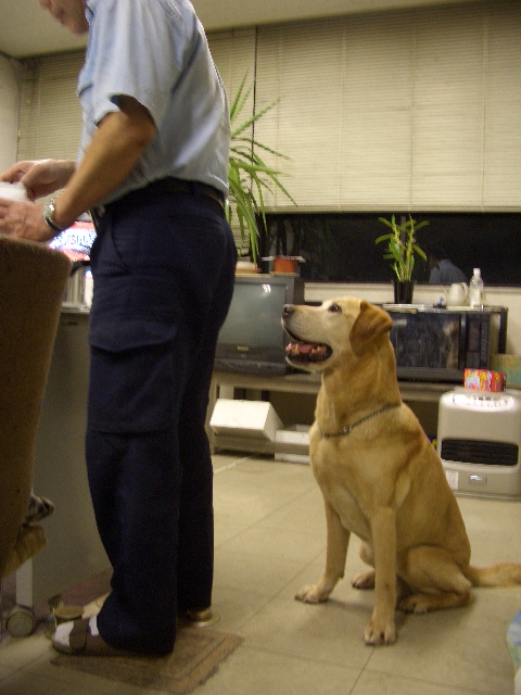 c0116610_134857.jpg