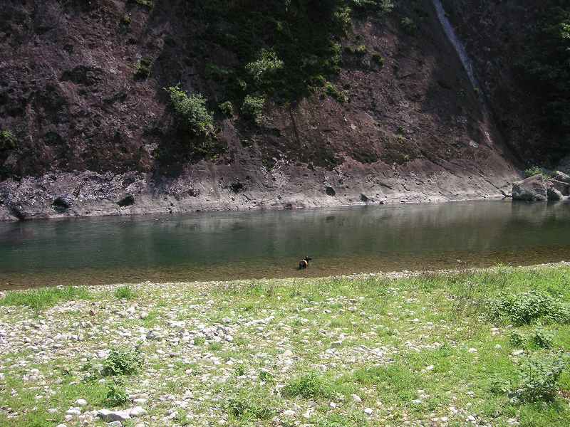 d0010012_2247258.jpg