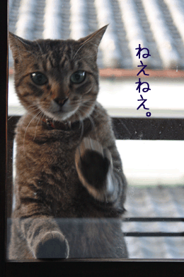 e0156015_2114614.gif
