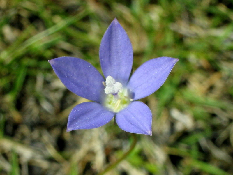 c0195327_1913367.jpg