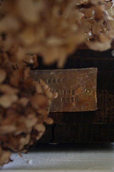 d0017232_1737784.jpg