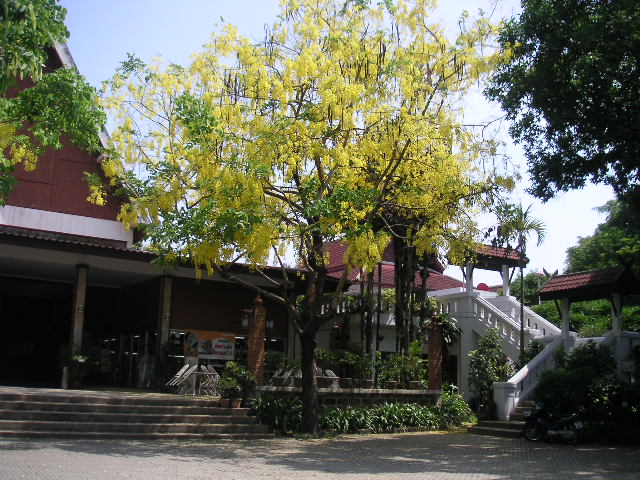 c0127933_17233227.jpg