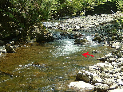 b0174137_19272264.jpg