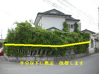 f0031037_2048251.jpg