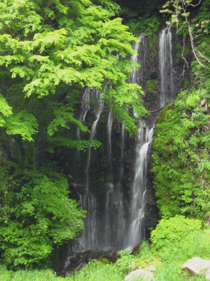 ☆ 富士山へドライブ_e0149840_85153.jpg