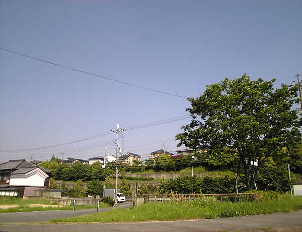 c0181543_0281714.jpg