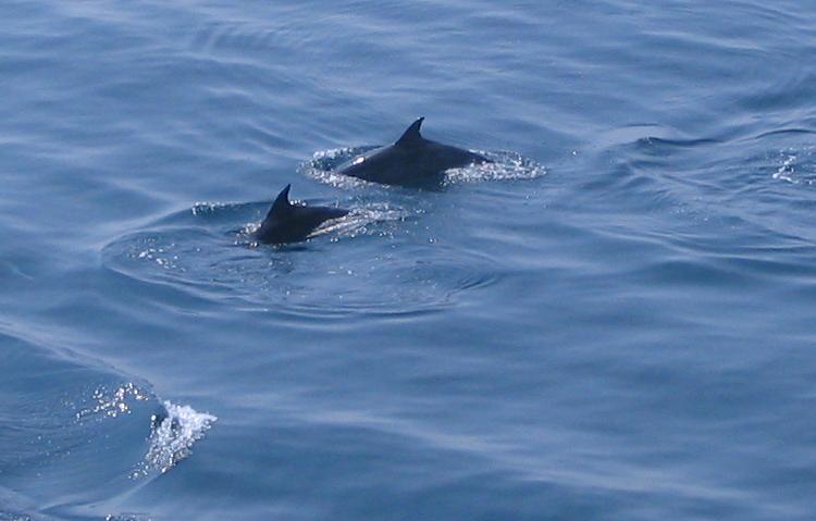 d0084146_22941.jpg