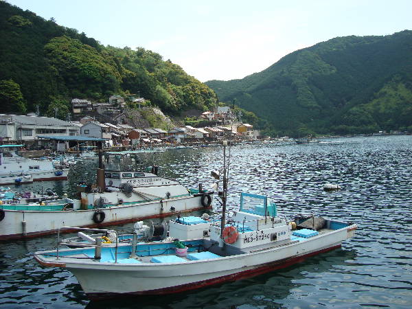 ふるさとの原風景『須賀利町』_e0111346_12482178.jpg