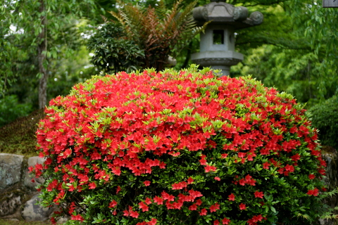 a0024250_0441685.jpg