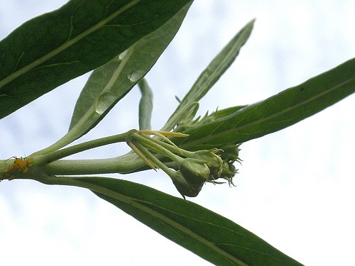 a0089450_21411958.jpg