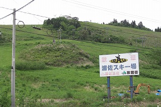 浦佐スキー場の花_a0084753_14501794.jpg