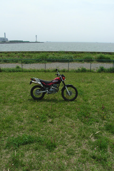 b0006870_0284761.jpg