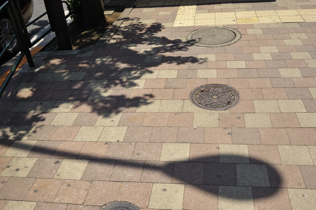 b0102780_9552490.jpg