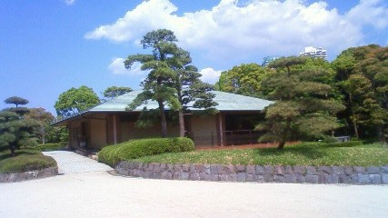 d0056881_11302.jpg