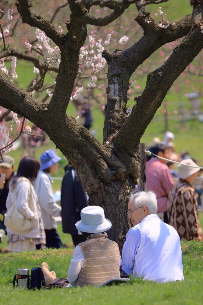 平岡公園_b0152088_2205278.jpg