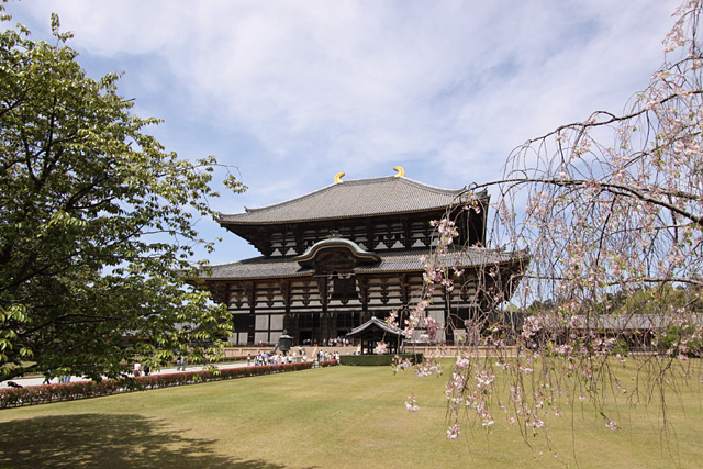 奈良プチ紀行　　　東大寺_b0067789_20525797.jpg