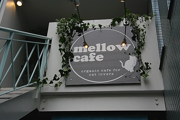 吉祥寺「mellow　cafe」_c0198389_18482184.jpg