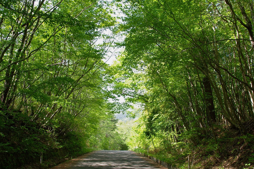f0138305_6533875.jpg