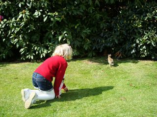 Nobunny there...?_f0017310_2382014.jpg