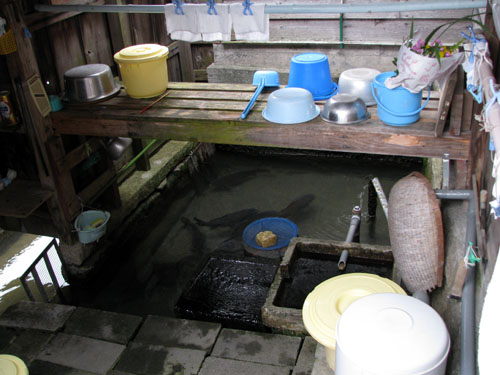 針江 生水の郷_e0048413_2056458.jpg